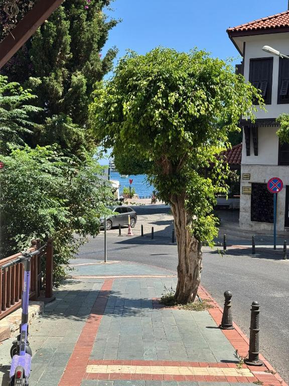 Temiz Hotel